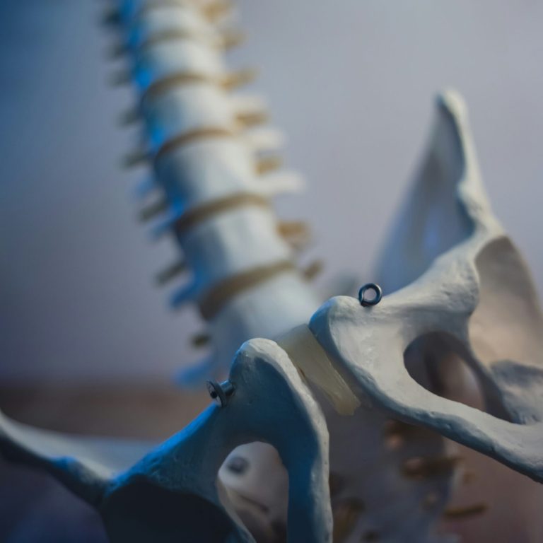 σπονδυλική στήλη